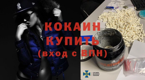 соль ск Алзамай