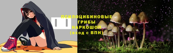 соль ск Алзамай