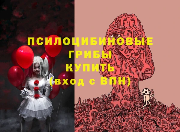 соль ск Алзамай