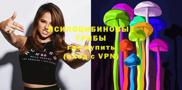 хмурый Алексеевка