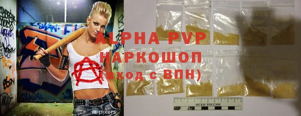 гидра Новозыбков