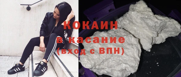 соль ск Алзамай